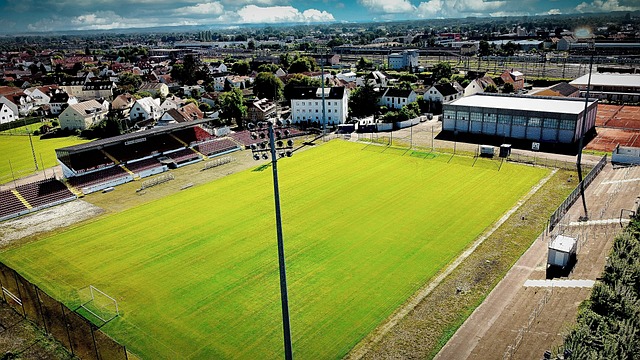 牛球员和教 牛球员和教