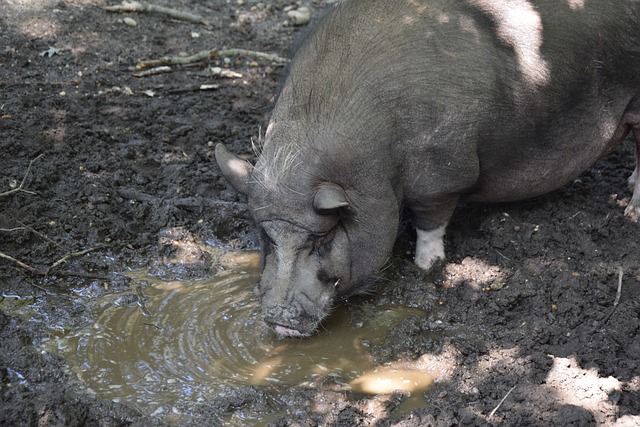 判對方的行 判對方的行