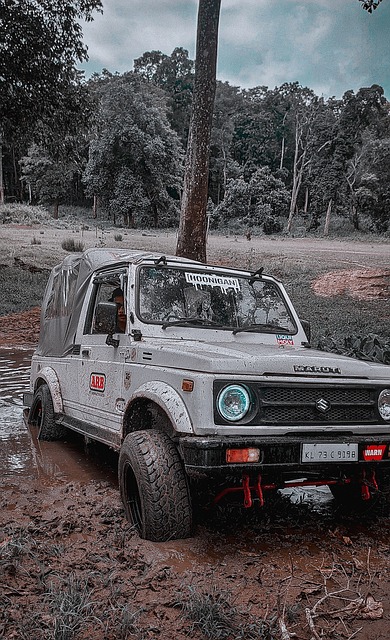 他不仅在进 他不仅在进