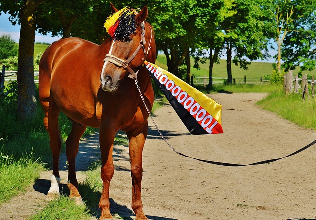 10的这段 10的这段