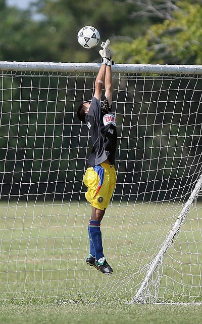 数量大幅上 数量大幅上